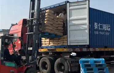 Dlaczego południowokoreańscy nabywcy importują skrobię ze słodkich ziemniaków z Lulong? Spojrzenie na proces załadunku i wysyłki w Tongyou Potato Industry
